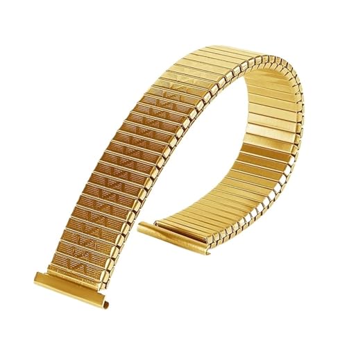 NZVCQVPU Metal Elastic Watchgurt 12 mm 14 mm 16 mm 18 mm 20 mm Stretchauxpansion Stahl Uhrenband Frauen Armband Accessoires von NZVCQVPU