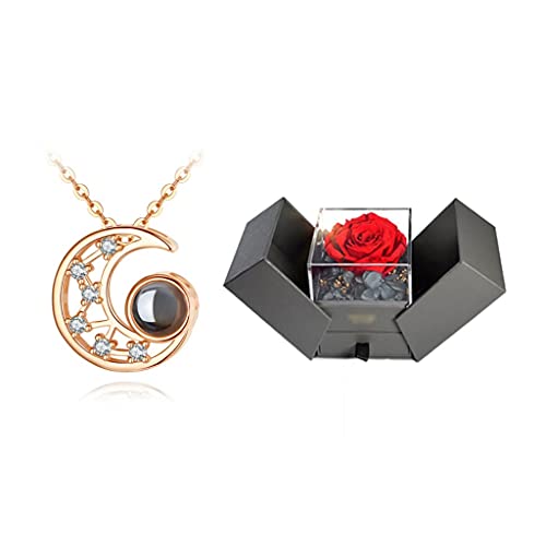 NZVCQVPU Schmuck/Halsketten Mondform, Miniaturschnitzerei Handwerkskunst, enthält einhundert Sprachen Ich liebe dich, leichte Luxusketten für Frauen -Frauenanhänger von NZVCQVPU