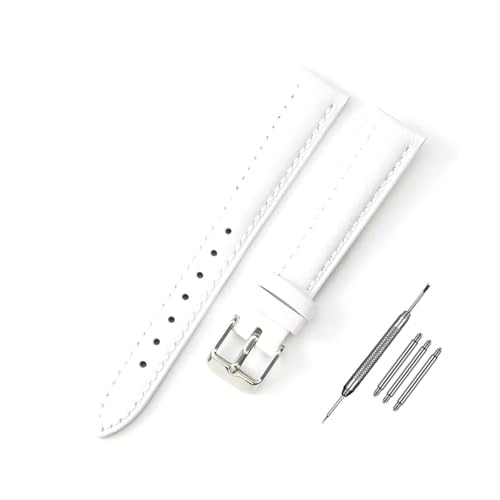 NZVCQVPU Uhrengurt 10 mm - 24 -mm -Watch -Austausch -Armband -Installationstools für Frauen Uhren -Austausch von NZVCQVPU