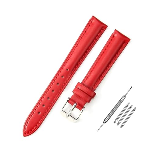 NZVCQVPU Uhrengurt 10 mm - 24 -mm -Watch -Austausch -Armband -Installationstools für Frauen Uhren -Austausch von NZVCQVPU