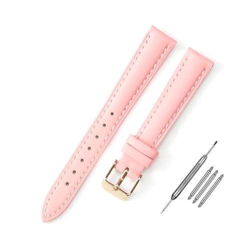 NZVCQVPU Uhrengurt 10 mm - 24 -mm -Watch -Austausch -Armband -Installationstools für Frauen Uhren -Austausch von NZVCQVPU