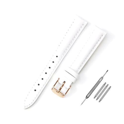 NZVCQVPU Uhrengurt 10 mm - 24 -mm -Watch -Austausch -Armband -Installationstools für Frauen Uhren -Austausch von NZVCQVPU