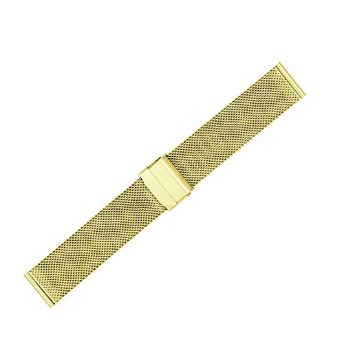NZVCQVPU Uhrengurt 12 mm, 14 mm, 16 mm, 18 mm, 20 mm, 22 mm, 24 mm universelles Mesh Edelstahl geflochtenes Armband Handgelenk NZVCQVPU Uhrengurt 12 mm, 14 mm, 16 mm, 18 mm, 20 mm, 22 mm, 24 mm universelles Mesh Edelstahl geflochtenes Armband Handgelenk von NZVCQVPU