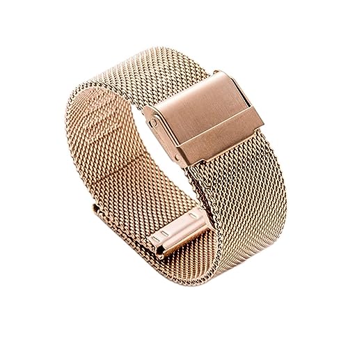 NZVCQVPU Uhrengurt Doppelschnalle-Gurt 12-22 mm universeller Edelstahl-Metallarmband-Uhrzubehör von NZVCQVPU