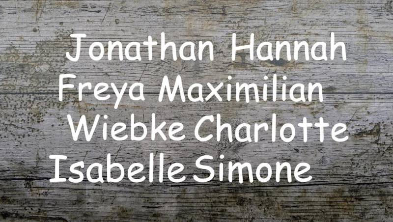 Schriftart Nr.3 Namen Bügelbild, Geplottet, Iron-On, Wunschtext, Flexfolie, Schriftzug, Textil von NaehundStickliebe