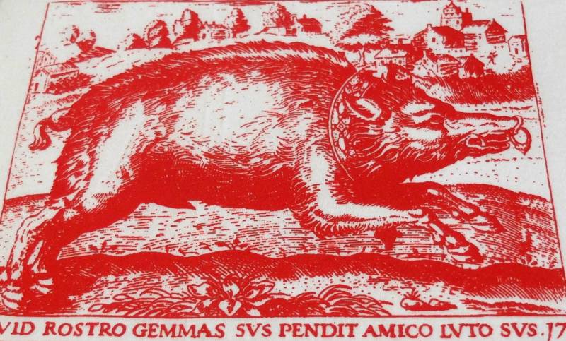 Boar Wilde Schwein - Mittelalterliches Unisex T-Shirt Boar Wilde Schwein - Mittelalterliches Unisex T-Shirt von Nanabnoam