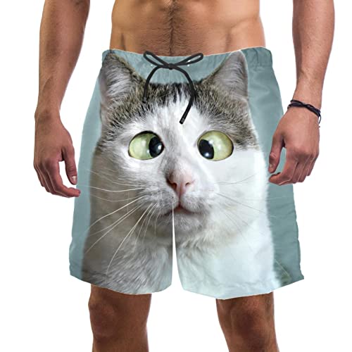 Badehose mit lustigem Katzen-Motiv, für den Strand, Surfen, Shorts für Herren, Größe L, mehrfarbig, Large-X-Large von Nannma