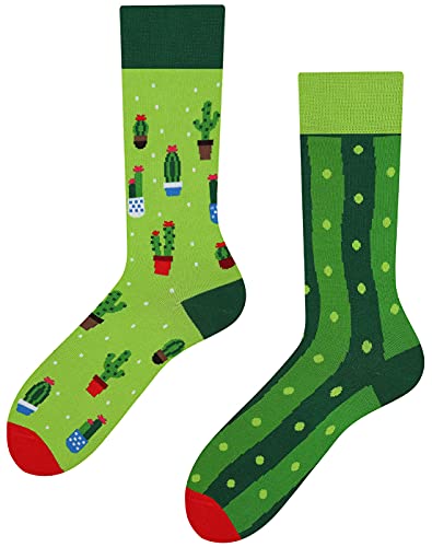 Nanushki unisex Verrückte Lustige Socken mit Motiv Kaktus für Herren und Damen (Kaktus Sockulent, 40-43) von Nanushki