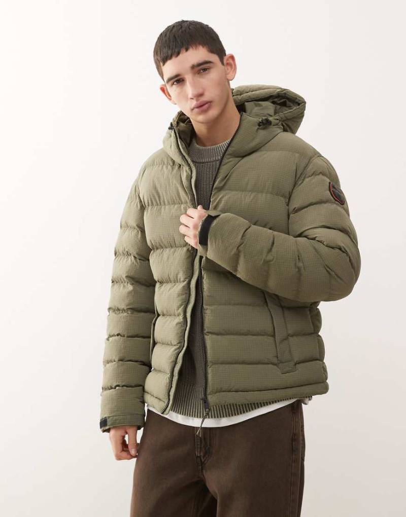 Napapijri - Terez - Steppjacke in Khaki-Grün von Napapijri