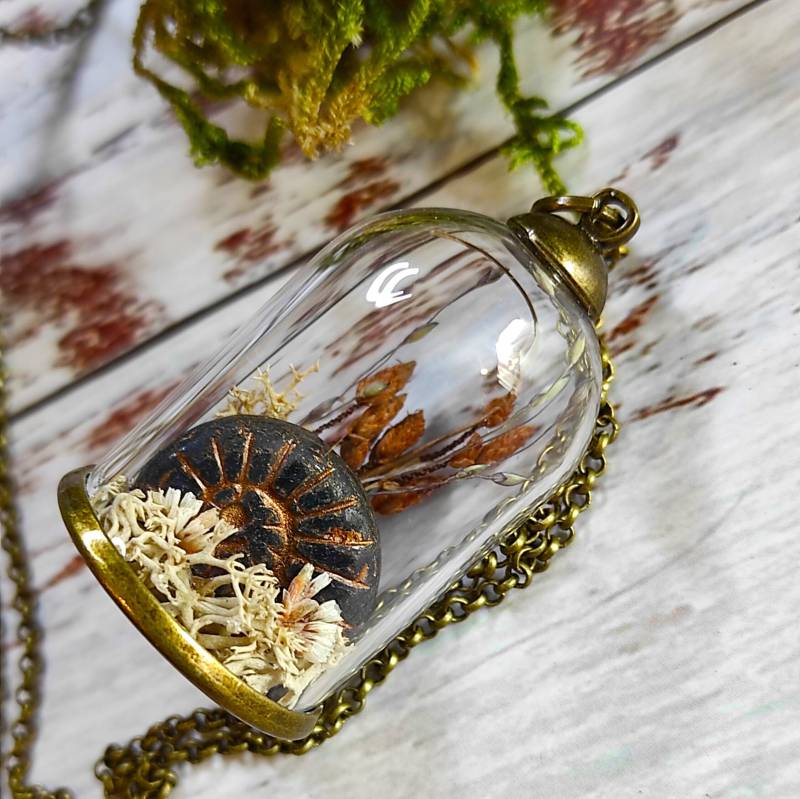 Echtes Moos Terrarium Halskette Bronze Schnecke Home Anhänger Echtes Moos Terrarium Halskette Bronze Schnecke Home Anhänger von NarwhalBlueberry