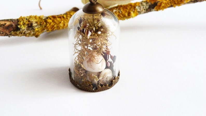 Halskette Mit Kleinem Pilz Bronze-Terrarium Echtem Moos Halskette Mit Kleinem Pilz Bronze-Terrarium Echtem Moos von NarwhalBlueberry