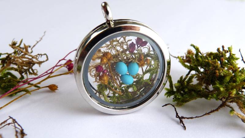 Vogel-Nest-Medaillon Fimo-Eier, Echtes Moos & Blumen Vogel-Nest-Medaillon Fimo-Eier, Echtes Moos & Blumen von NarwhalBlueberry