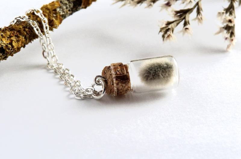 Weidenkätzchen Im Glas Fläschchen/Weide Flasche/Echte Blumen Schmuck/Waldweide Halskette/Kleine Salix Anhänger/Unisex Natur Schmuck Weidenkätzchen Im Glas Fläschchen/Weide Flasche/Echte Blumen Schmuck/Waldweide Halskette/Kleine Salix Anhänger/Unisex Natur Schmuck von NarwhalBlueberry