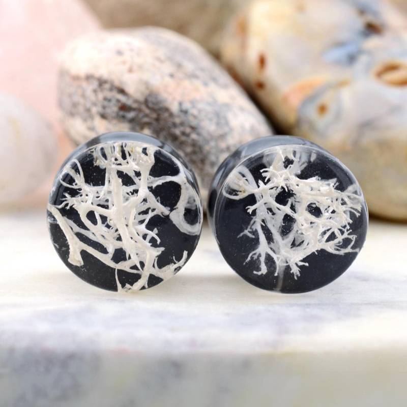 Schwarze Resin Ohr Plugs Mit Weißem Moos, Gothic Schwarze Resin Ohr Plugs Mit Weißem Moos, Gothic von NataliVogel