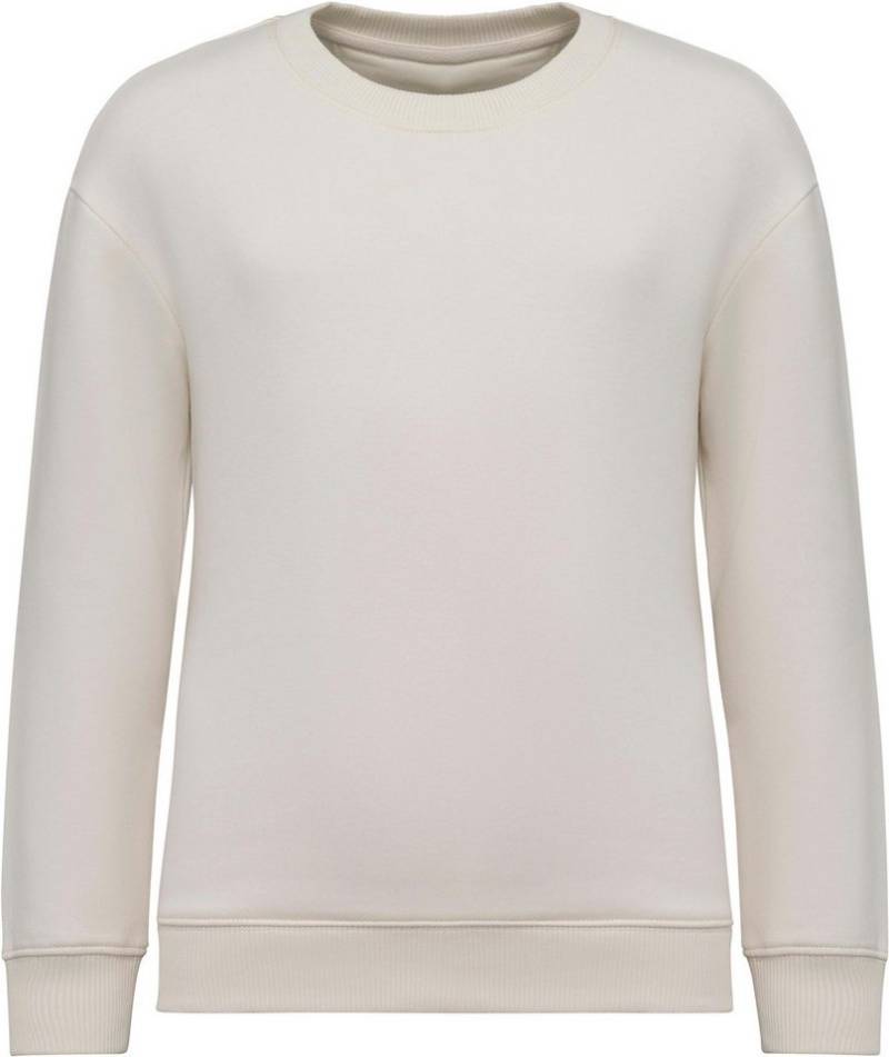 Native Spirit Sweatshirt Umweltfreundliches Oversize Sweatshirt mit Rundhalsausschnit von Native Spirit