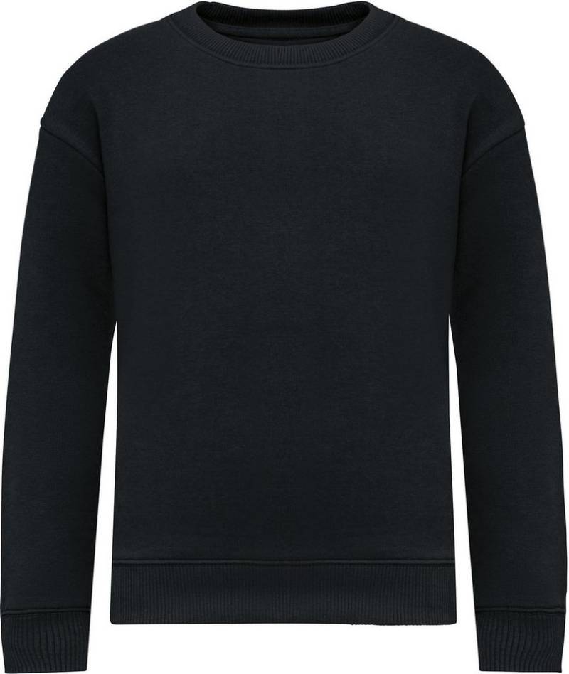 Native Spirit Sweatshirt Umweltfreundliches Oversize Sweatshirt mit Rundhalsausschnit von Native Spirit