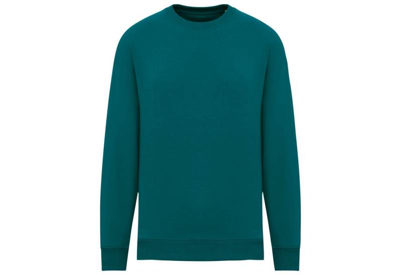 Native Spirit Sweatshirt Umweltfreundliches Oversize Unisex-Sweatshirt mit Rundhalsausschnitt von Native Spirit