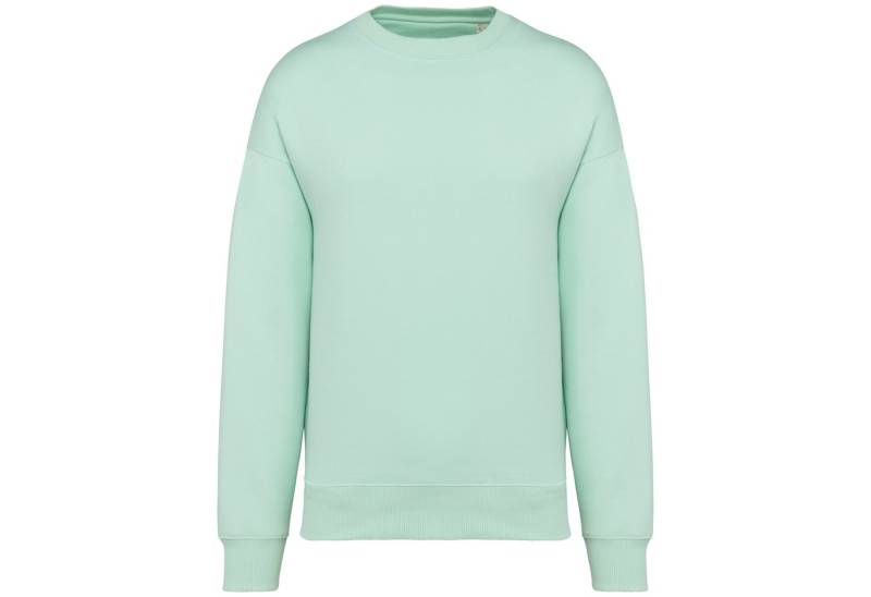 Native Spirit Sweatshirt Umweltfreundliches Oversize Unisex-Sweatshirt mit Rundhalsausschnitt von Native Spirit