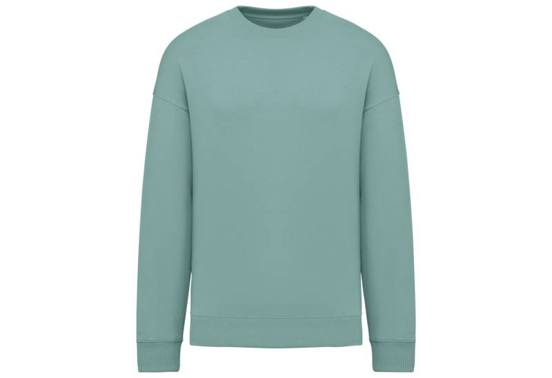 Native Spirit Sweatshirt Umweltfreundliches Oversize Unisex-Sweatshirt mit Rundhalsausschnitt von Native Spirit