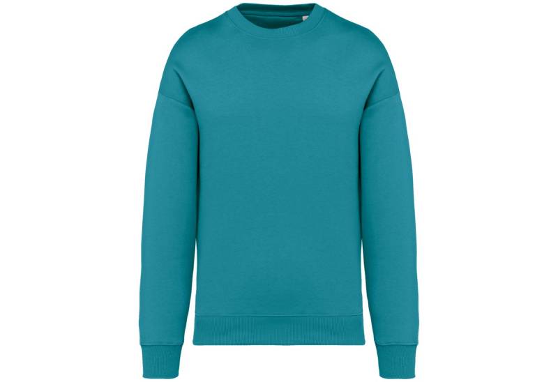 Native Spirit Sweatshirt Umweltfreundliches Oversize Unisex-Sweatshirt mit Rundhalsausschnitt von Native Spirit