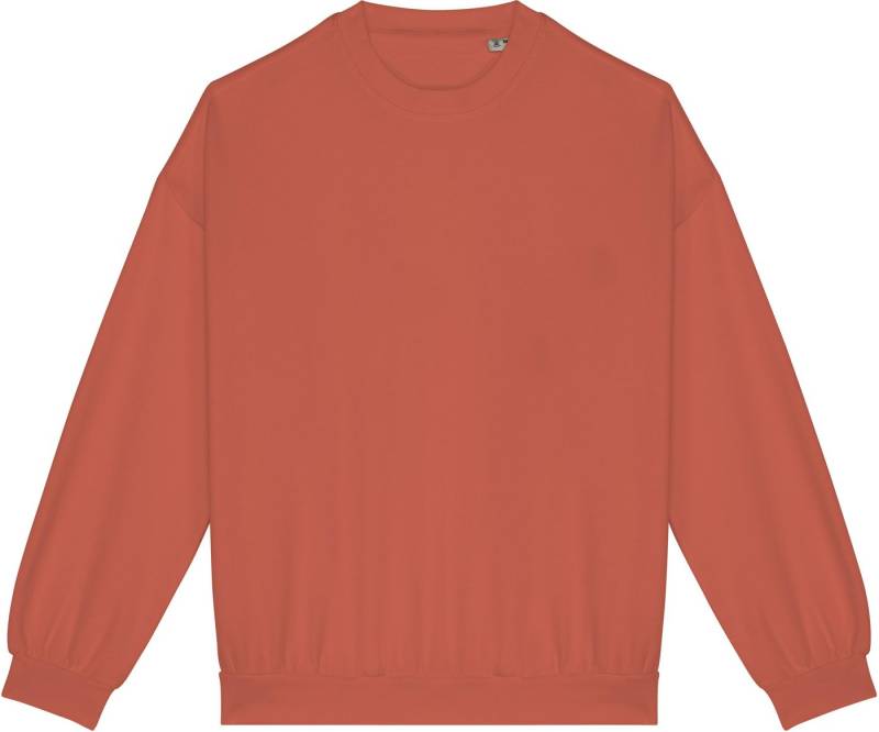 Native Spirit Sweatshirt Umweltfreundliches Unisex Oversize Sweatshirt von Native Spirit