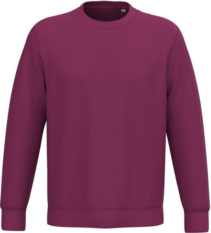 Native Spirit Sweatshirt Umweltfreundliches Unisex-Sweatshirt mit Rundhalsausschnitt von Native Spirit