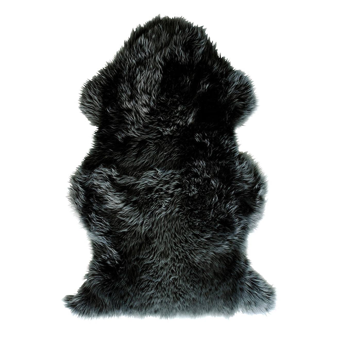 Schaffell  Douchka von Nattiot