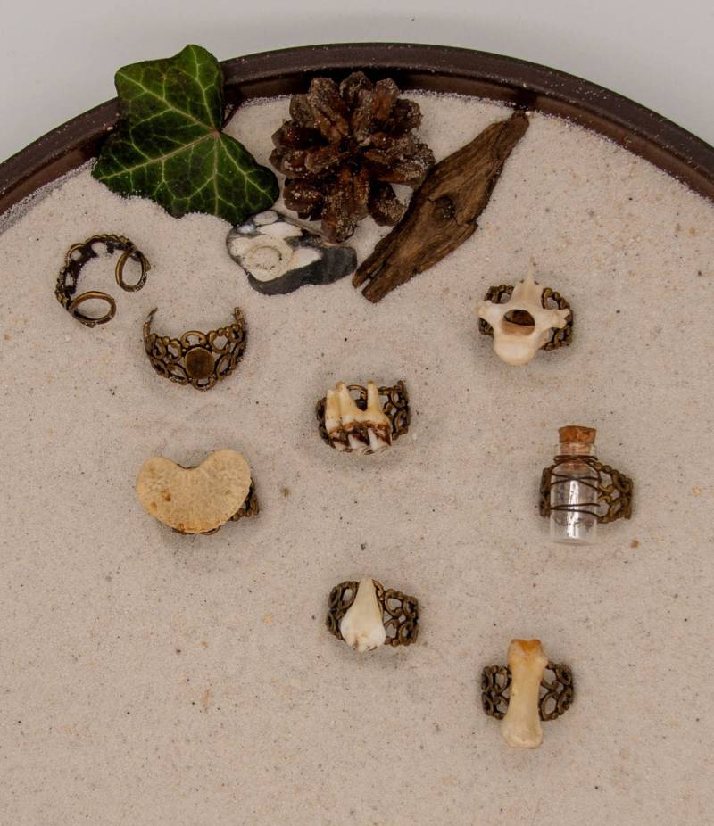 Echter Knochenring Tier Knochen Ring Auf Antik Bronze-Finish Verstellbaren Metallring Schmuck Knochenschmuck Ritual Larp Wicca Echter Knochenring Tier Knochen Ring Auf Antik Bronze-Finish Verstellbaren Metallring Schmuck Knochenschmuck Ritual Larp Wicca von NaturWaren