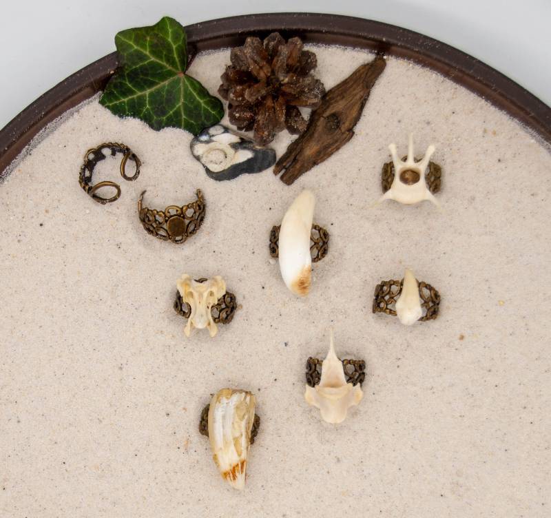 Echter Knochenring Tier Knochen Ring Auf Antik Bronze-Finish Verstellbaren Metallring Schmuck Knochenschmuck Ritual Larp Wicca von NaturWaren