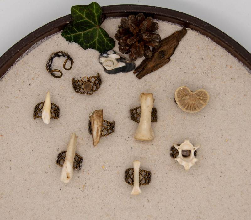 Echter Knochenring Tier Knochen Ring Auf Antik Bronze-Finish Verstellbaren Metallring Schmuck Knochenschmuck Ritual Larp Wicca von NaturWaren