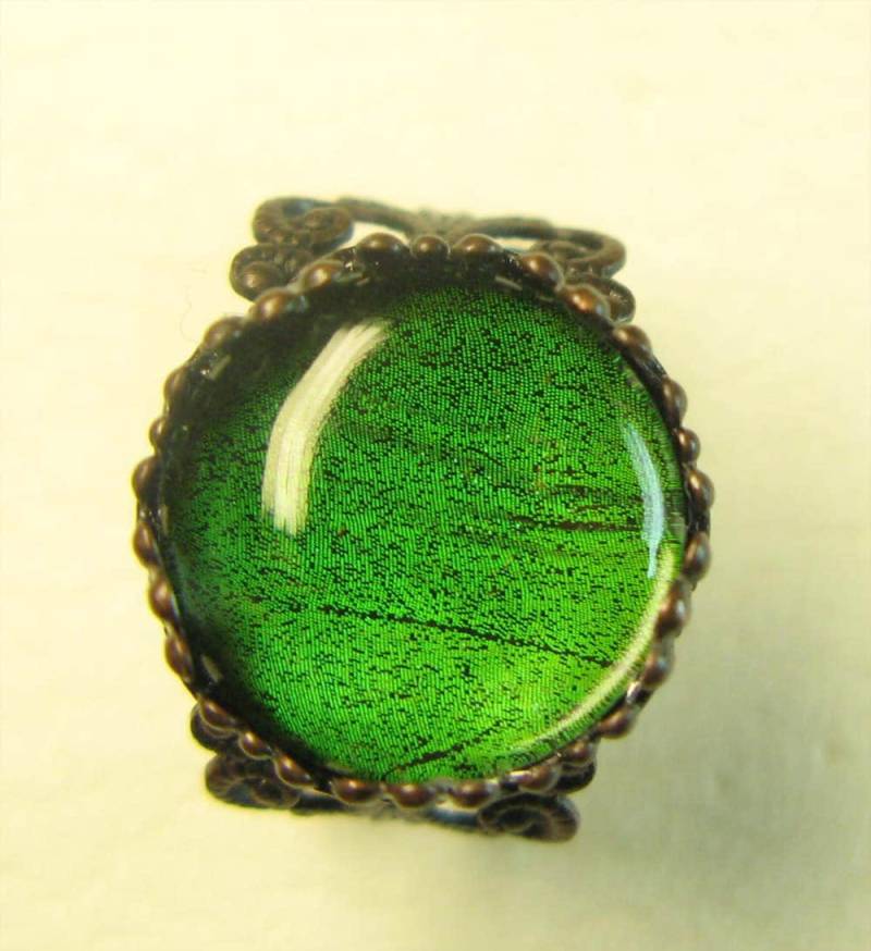 Ungewöhnlicher Ring Mit Echtem Schmetterlingsflügel Unter Cabochon #1 Einstellbar Antiker Stil Originelles Geschenk Ungewöhnlicher Ring Mit Echtem Schmetterlingsflügel Unter Cabochon #1 Einstellbar Antiker Stil Originelles Geschenk von Naturedesigner