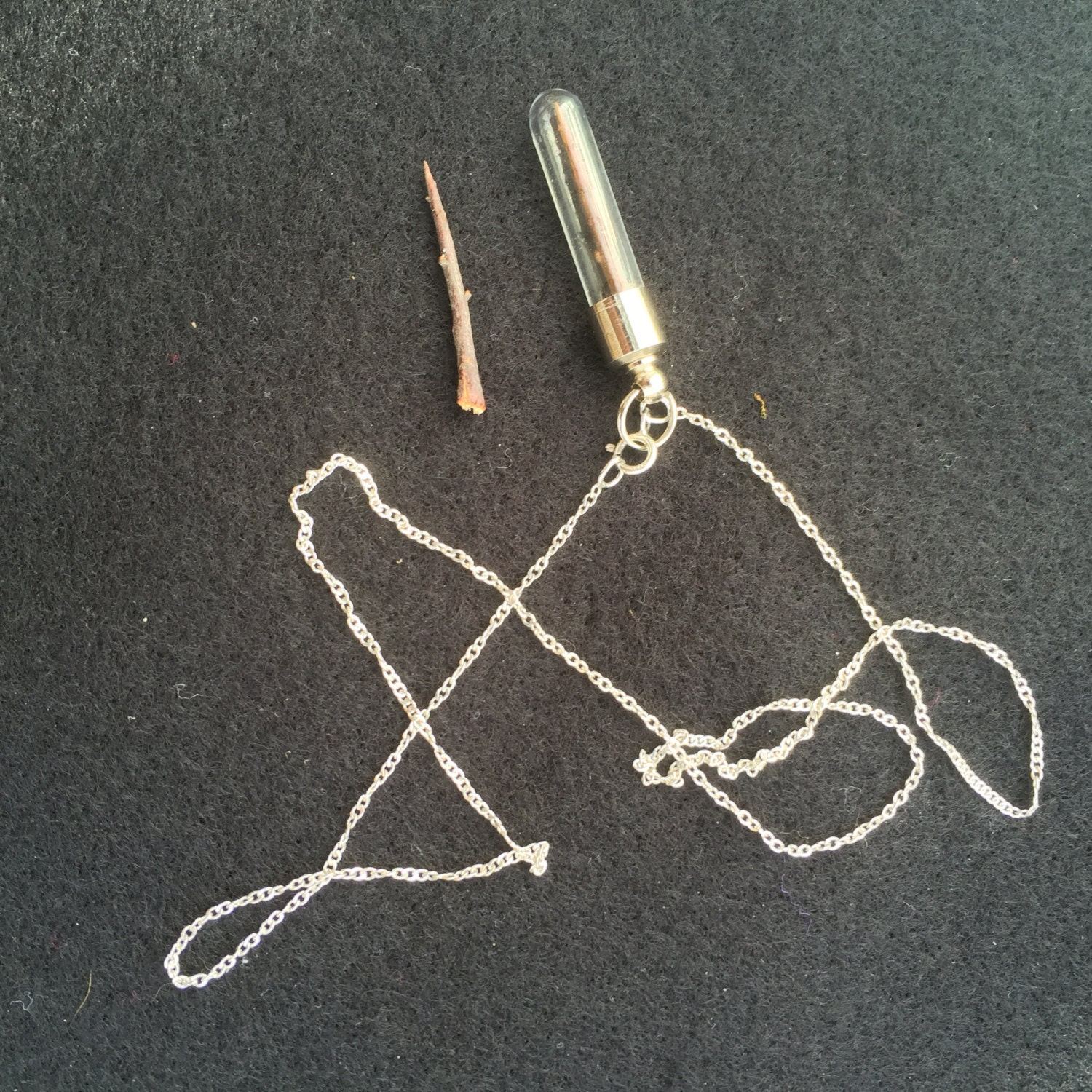 Eine Einzelne Schwarzdorn Dorn Talisman Für Schutz Eingefasst in Einem Glas Anhänger von Naturescurios