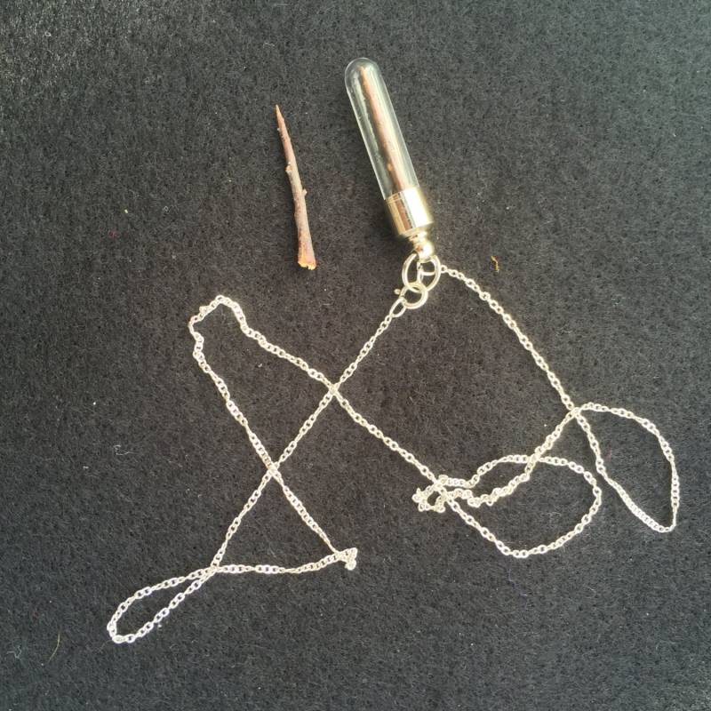 Eine Einzelne Schwarzdorn Dorn Talisman Für Schutz Eingefasst in Einem Glas Anhänger von Naturescurios