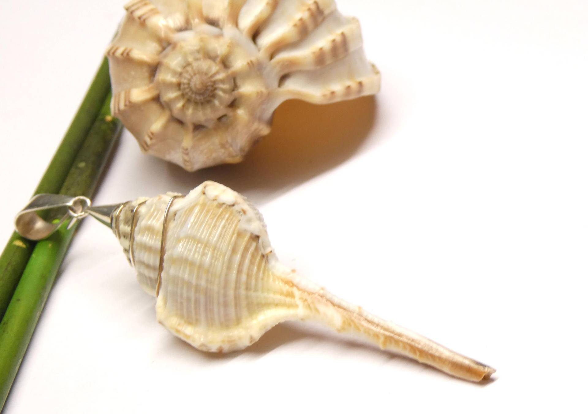 Anhänger Schnecke , Fassung Sterlingsilber Handarbeit Bali von NaturprodukteBG