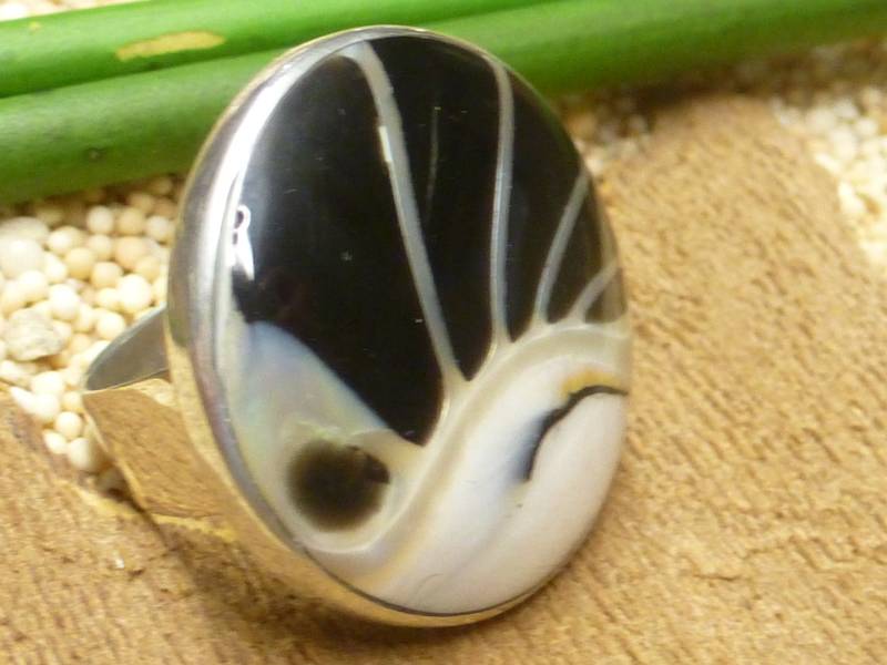 Ring Silber , Nautilus Schnecke Fassung Sterlingsilber Handgearbeitet Bali Größen 54 - 17.2 Schmuck Für Frauen von NaturprodukteBG