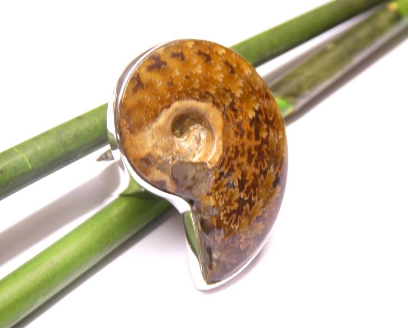 Ring Silber , Nautilus Schnecke Fossil Fassung Sterlingsilber Handgearbeitet Größe 58 - 18.5 Schmuck Für Frauen von NaturprodukteBG