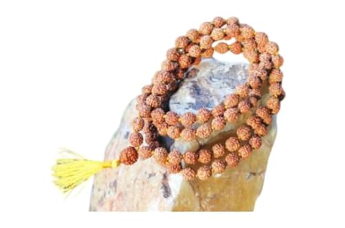 Navkaarart 4 Mukhi Rudraksha Brahma Mala aus Java / 4 Mukhi Rudraksha Brahma Mala aus Indonesien in Faden (72 + 1 Perlen), Medium, Rudraksha, Kein Edelstein von Navkaarart