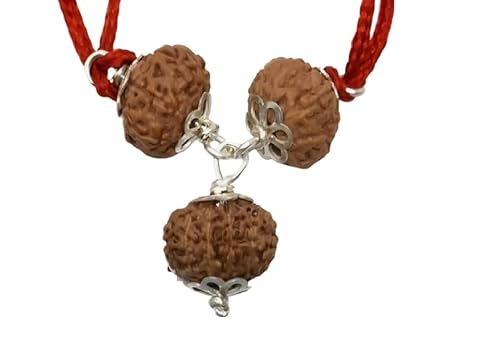 Rudraksha Kavach For Name & Fame Java Beads in Silver Lab Certified, Medium, Rudraksha, Kein Edelstein von Navkaarart
