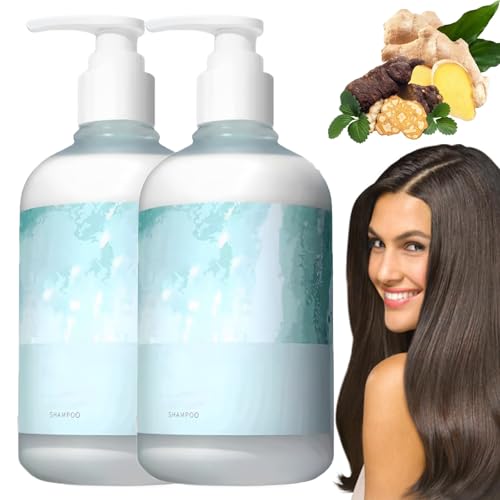 Lanshu Shampoo, Lanshu Polygonum Multiflorum Oil Control Haarshampoo, Lanshu Oil Control Polygonum Multiflorum Shampoo für Männer und Frauen (2 Stück) von Nbzsmlkn
