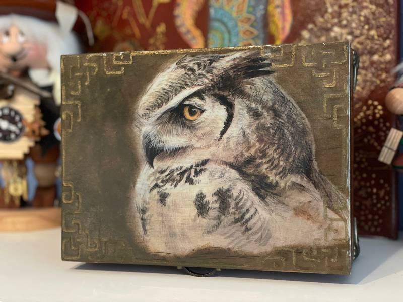 Eule von NegaSchatze