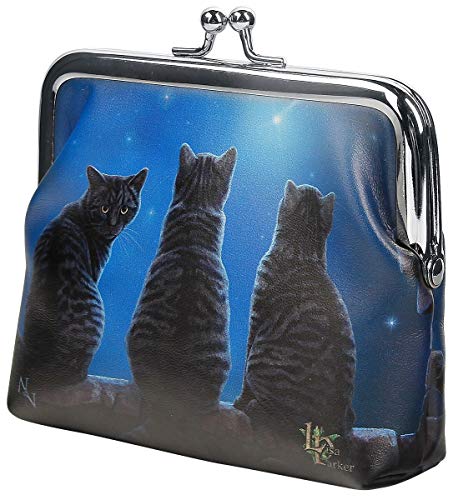 Nemesis Now Wish Upon a Star Coin Purse Geldbörse Standard von Nemesis Now