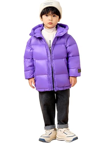 Nemopter Daunenjacke für Kinder, Jungen, Mädchen, Mantel, Winterjacke, Kapuzenmantel, winddicht, warm, dick, Herbst, 2 – 14 Jahre, violett, 3 Jahre von Nemopter