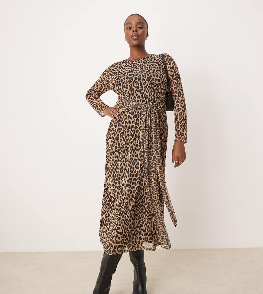 Never Fully Dressed Plus - Vorne gebundenes Midaxikleid aus Mesh mit Leopardenmuster-Braun Never Fully Dressed Plus - Vorne gebundenes Midaxikleid aus Mesh mit Leopardenmuster-Braun von Never Fully Dressed Plus