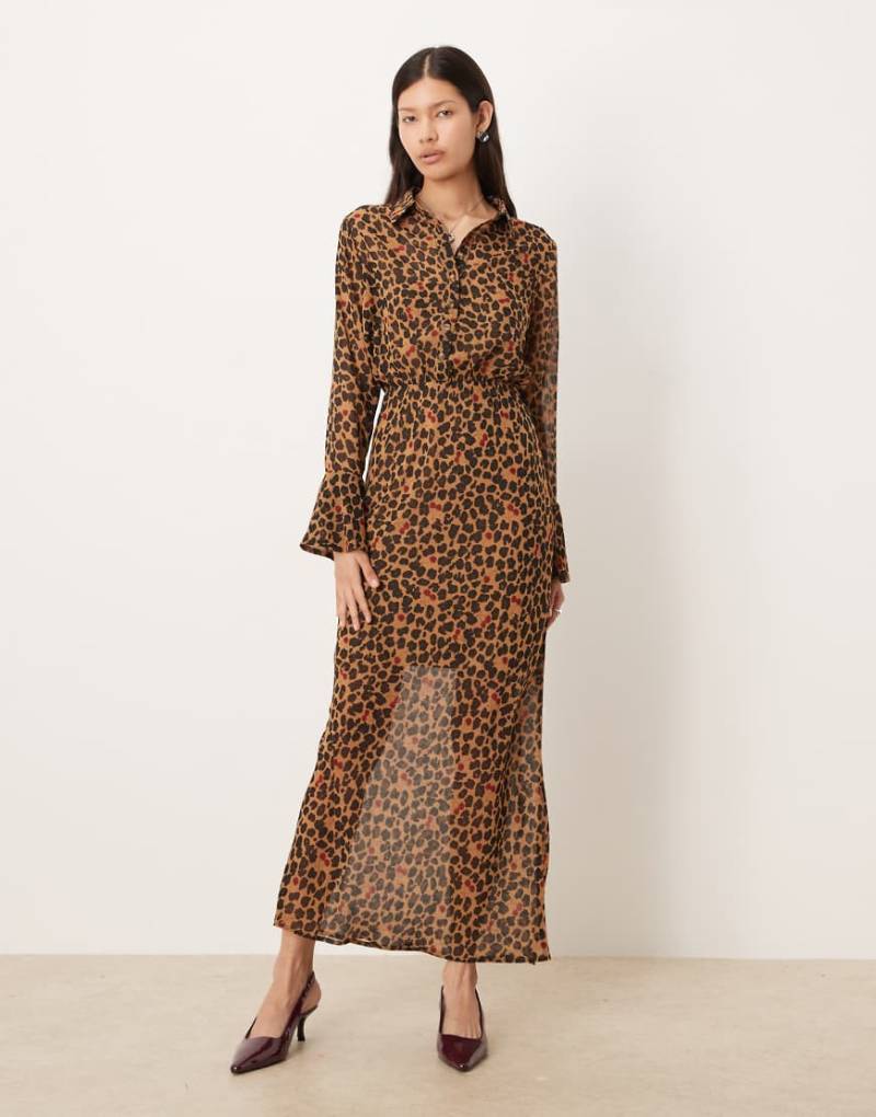 Never Fully Dressed - Mia - Midaxi-Hemdblusenkleid mit Kirsch- und Leopardenmuster-Bunt von Never Fully Dressed