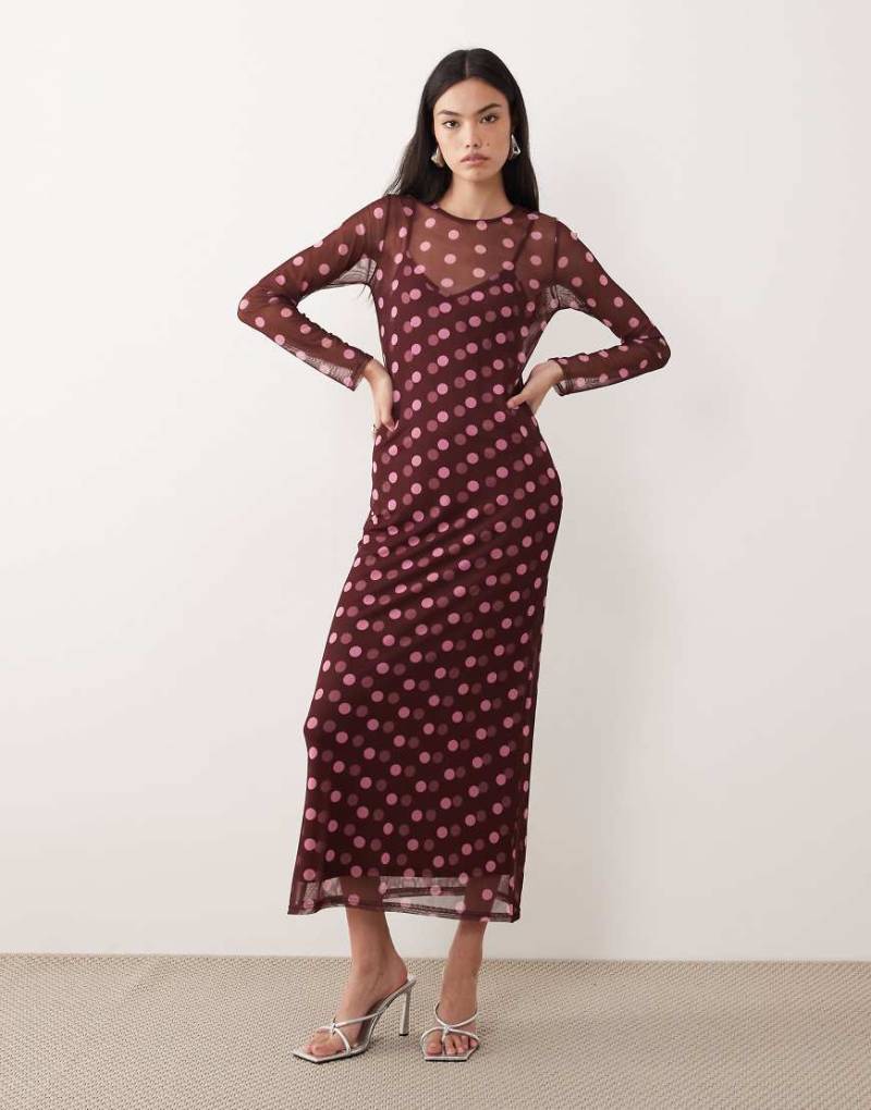 Never Fully Dressed - Midaxi-Kleid aus Netzstoff in Schokobraun mit Polka Dots-Brown von Never Fully Dressed