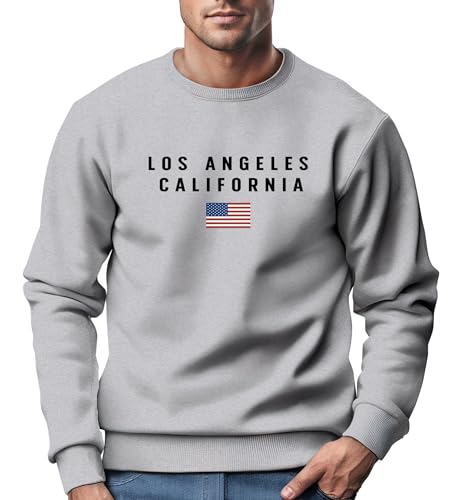 Neverless® Sweatshirt Herren Bedruckt Schriftzug California Los Angeles USA Amerika Flagge Rundhals-Pullover grau M von Neverless