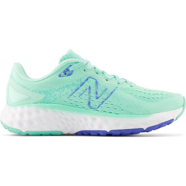 NEW BALANCE Damen Laufschuhe Fresh Foam Evoz v2 von New Balance