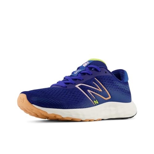 NEW BALANCE Damen 520v8 Sneaker, blau, 37 EU von New Balance