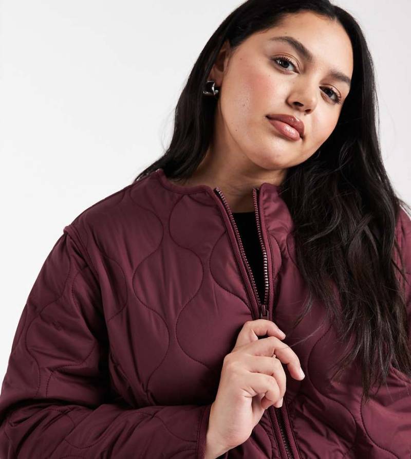 New Look Curve - Wattierte Steppjacke in Burgunderrot von New Look Plus