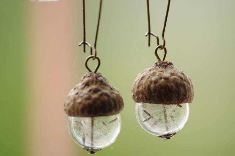 Pusteblumen Eichel Terrarium Ohrringe Echte Blume Schmuck von NewJewelleryStory